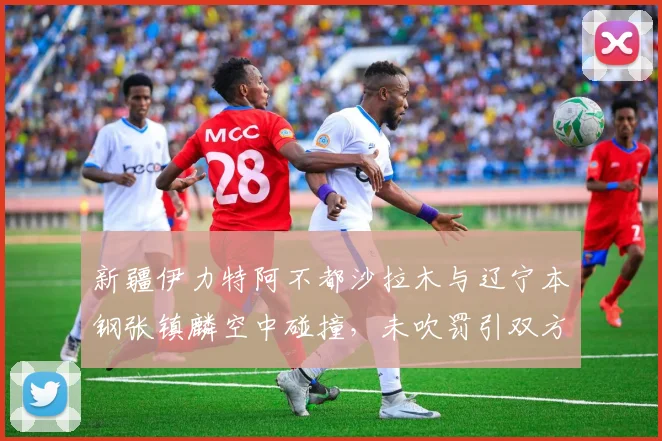 新疆伊力特阿不都沙拉木与辽宁本钢张镇麟空中碰撞，未吹罚引双方不满